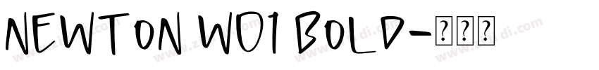Newton W01 Bold字体转换